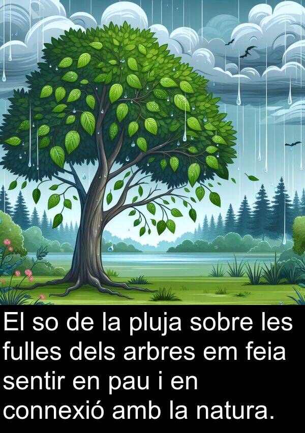 pau: El so de la pluja sobre les fulles dels arbres em feia sentir en pau i en connexió amb la natura.