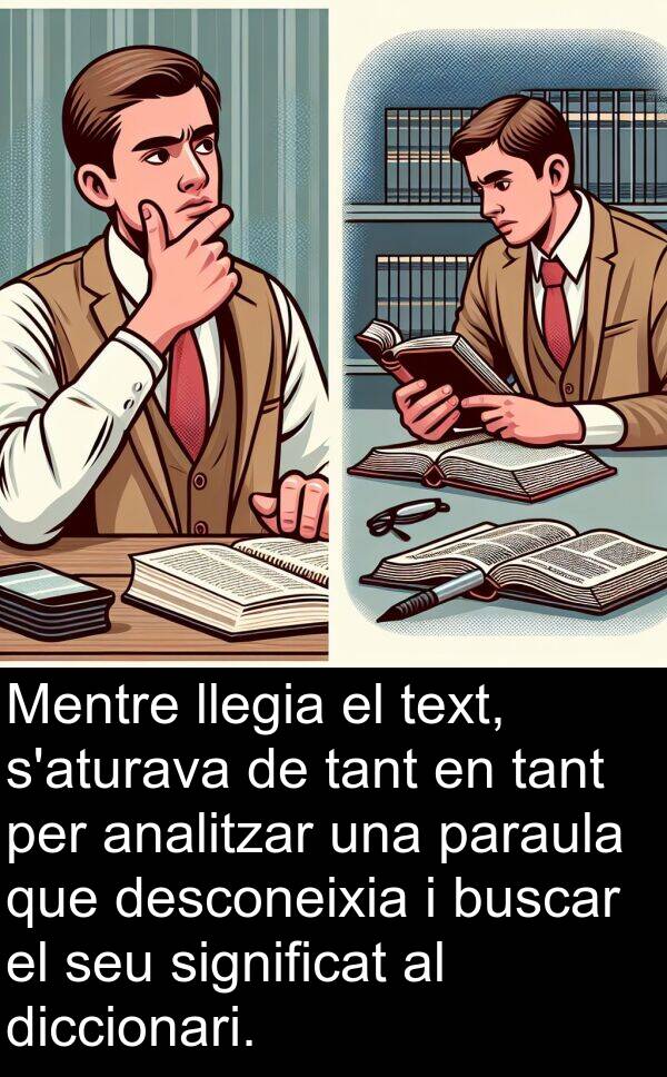 paraula: Mentre llegia el text, s'aturava de tant en tant per analitzar una paraula que desconeixia i buscar el seu significat al diccionari.