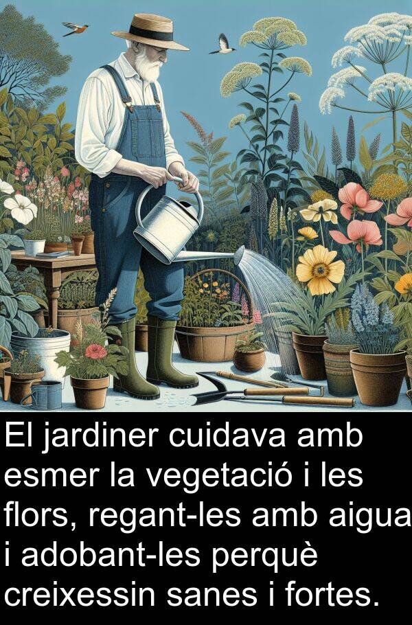 aigua: El jardiner cuidava amb esmer la vegetació i les flors, regant-les amb aigua i adobant-les perquè creixessin sanes i fortes.