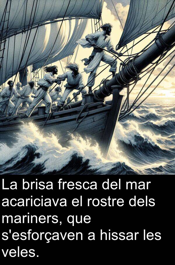 brisa: La brisa fresca del mar acariciava el rostre dels mariners, que s'esforçaven a hissar les veles.