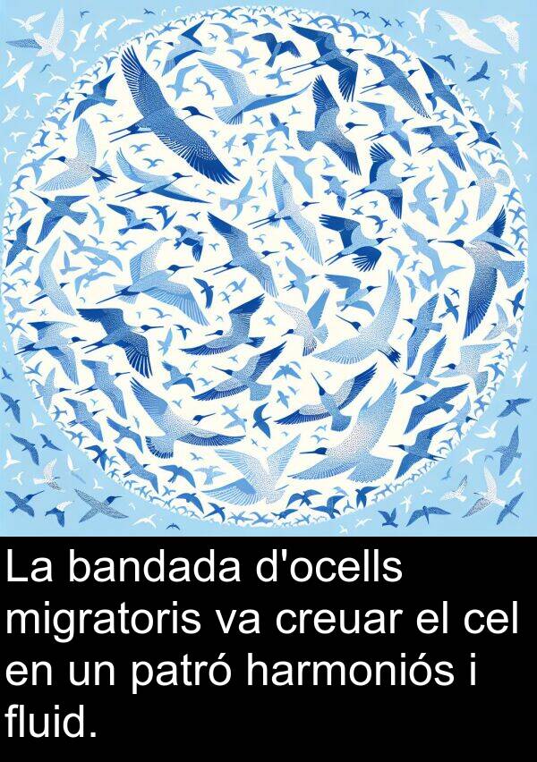 patró: La bandada d'ocells migratoris va creuar el cel en un patró harmoniós i fluid.