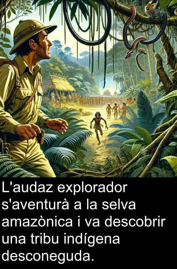 desconeguda: L'audaz explorador s'aventurà a la selva amazònica i va descobrir una tribu indígena desconeguda.