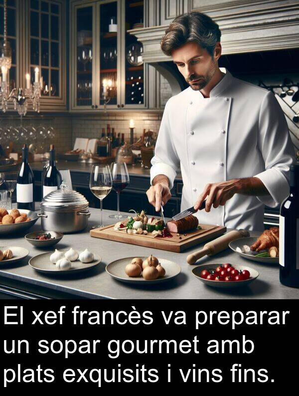 vins: El xef francès va preparar un sopar gourmet amb plats exquisits i vins fins.