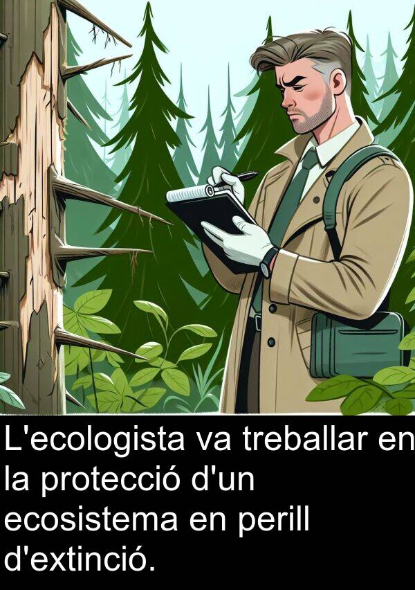 perill: L'ecologista va treballar en la protecció d'un ecosistema en perill d'extinció.