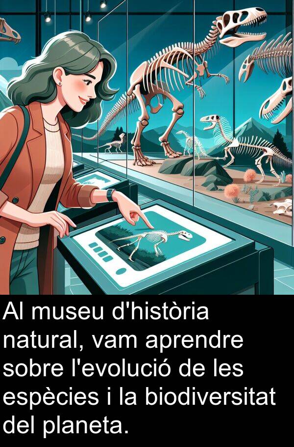 biodiversitat: Al museu d'història natural, vam aprendre sobre l'evolució de les espècies i la biodiversitat del planeta.