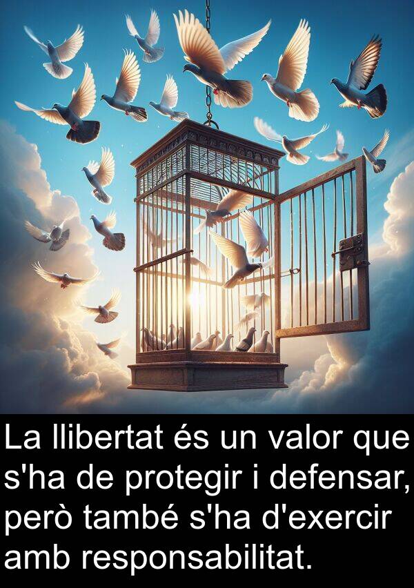 defensar: La llibertat és un valor que s'ha de protegir i defensar, però també s'ha d'exercir amb responsabilitat.