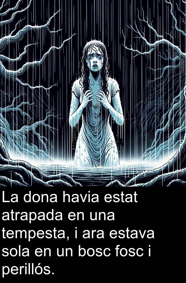 perillós: La dona havia estat atrapada en una tempesta, i ara estava sola en un bosc fosc i perillós.