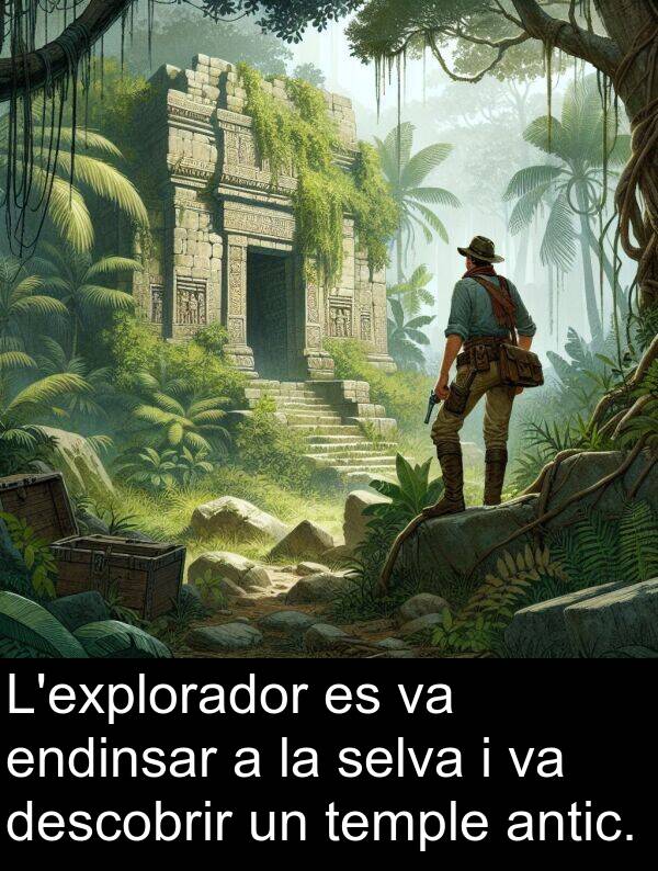 descobrir: L'explorador es va endinsar a la selva i va descobrir un temple antic.