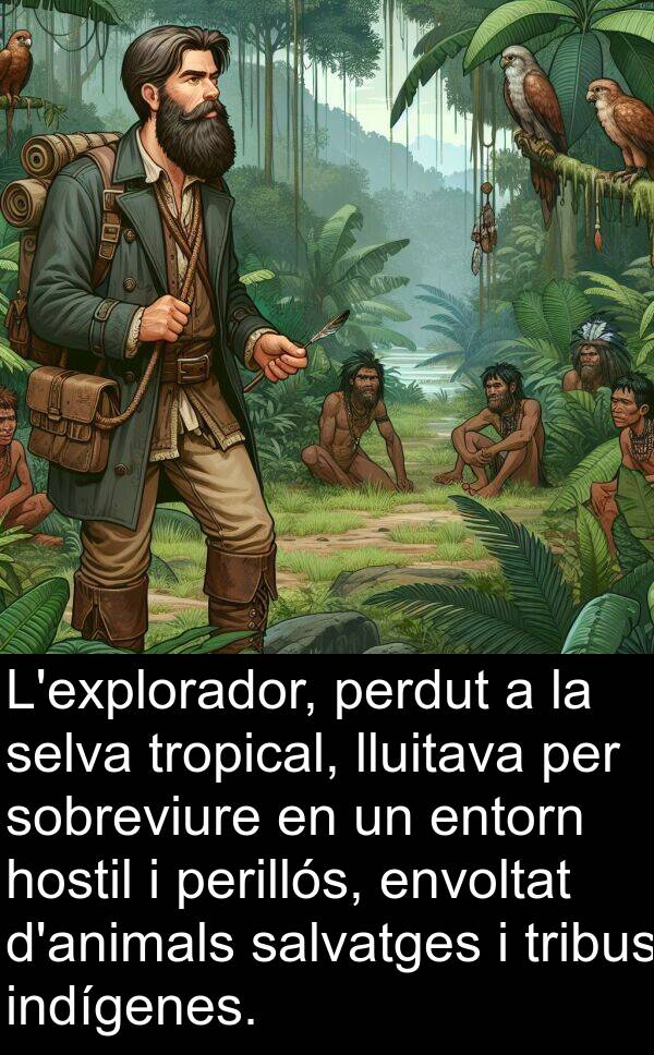 lluitava: L'explorador, perdut a la selva tropical, lluitava per sobreviure en un entorn hostil i perillós, envoltat d'animals salvatges i tribus indígenes.