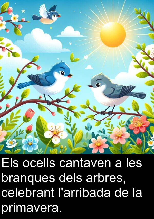 ocells: Els ocells cantaven a les branques dels arbres, celebrant l'arribada de la primavera.