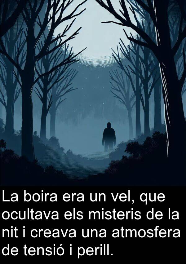 ocultava: La boira era un vel, que ocultava els misteris de la nit i creava una atmosfera de tensió i perill.