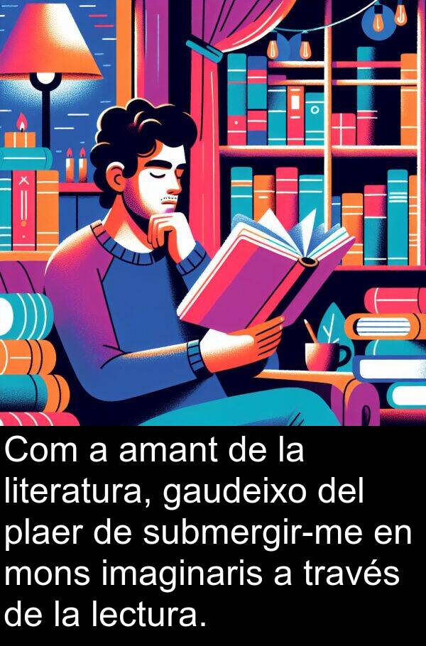 lectura: Com a amant de la literatura, gaudeixo del plaer de submergir-me en mons imaginaris a través de la lectura.