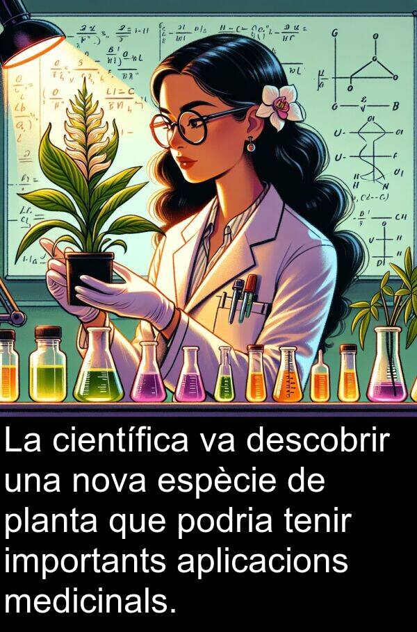 descobrir: La científica va descobrir una nova espècie de planta que podria tenir importants aplicacions medicinals.