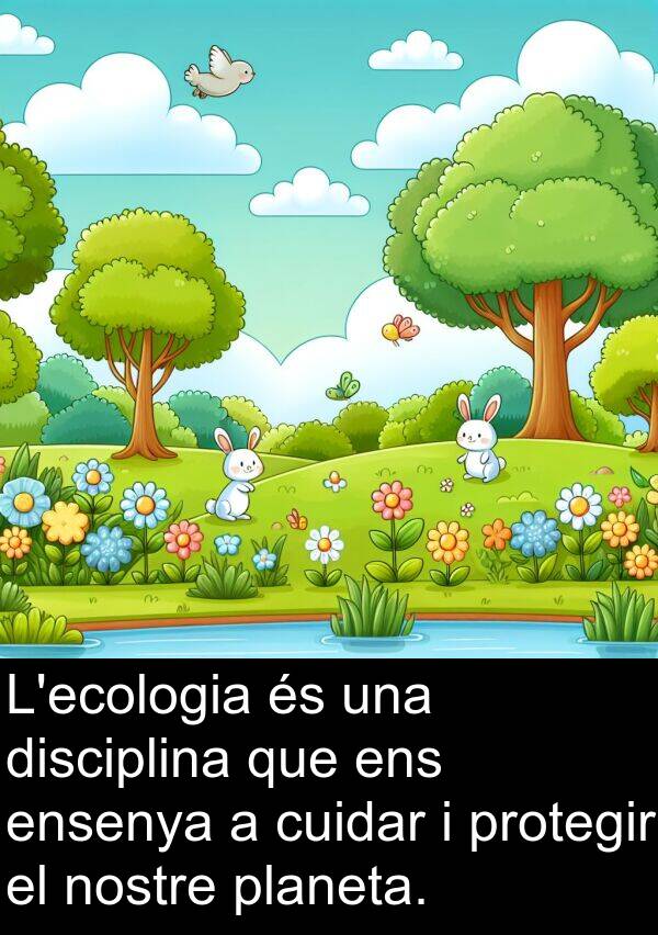 ensenya: L'ecologia és una disciplina que ens ensenya a cuidar i protegir el nostre planeta.