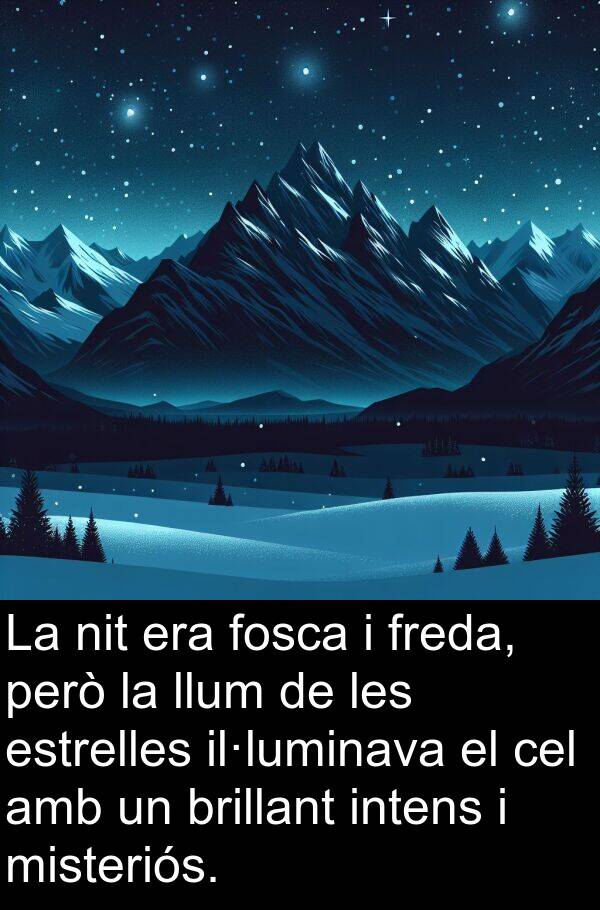 brillant: La nit era fosca i freda, però la llum de les estrelles il·luminava el cel amb un brillant intens i misteriós.