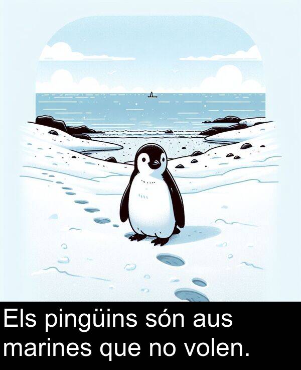 marines: Els pingüins són aus marines que no volen.