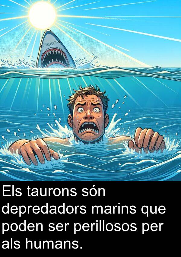 depredadors: Els taurons són depredadors marins que poden ser perillosos per als humans.