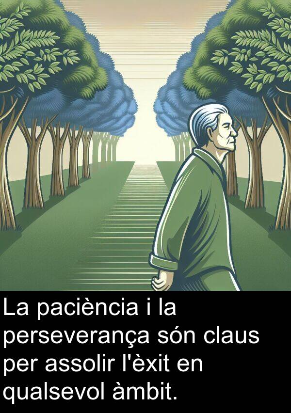 perseverança: La paciència i la perseverança són claus per assolir l'èxit en qualsevol àmbit.