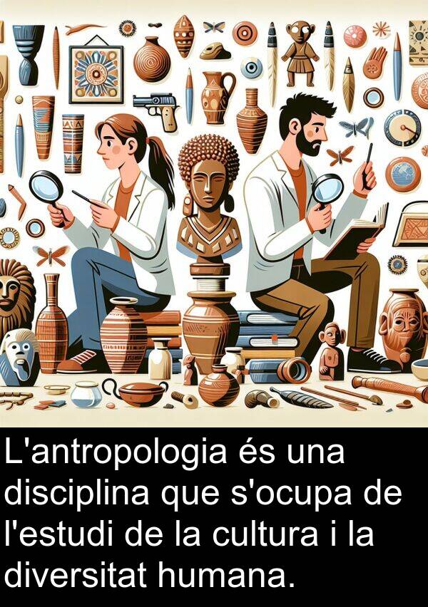 humana: L'antropologia és una disciplina que s'ocupa de l'estudi de la cultura i la diversitat humana.