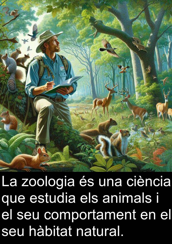 natural: La zoologia és una ciència que estudia els animals i el seu comportament en el seu hàbitat natural.