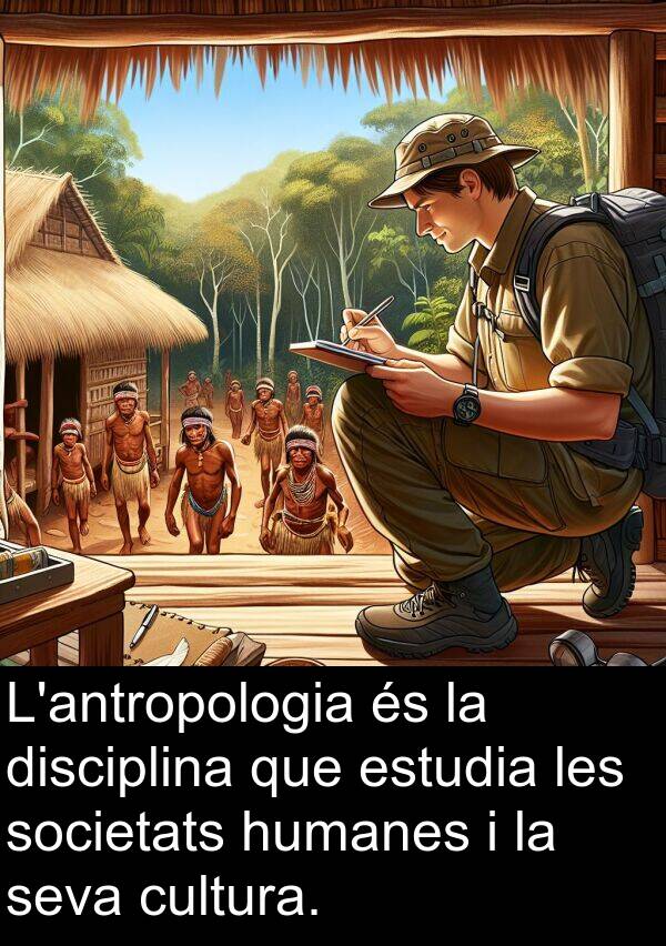 humanes: L'antropologia és la disciplina que estudia les societats humanes i la seva cultura.