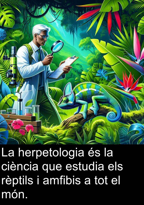 rèptils: La herpetologia és la ciència que estudia els rèptils i amfibis a tot el món.