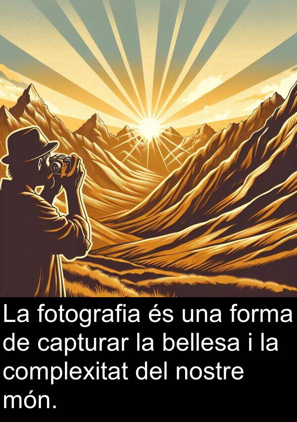 capturar: La fotografia és una forma de capturar la bellesa i la complexitat del nostre món.