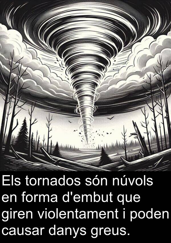 causar: Els tornados són núvols en forma d'embut que giren violentament i poden causar danys greus.