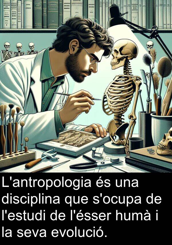 humà: L'antropologia és una disciplina que s'ocupa de l'estudi de l'ésser humà i la seva evolució.