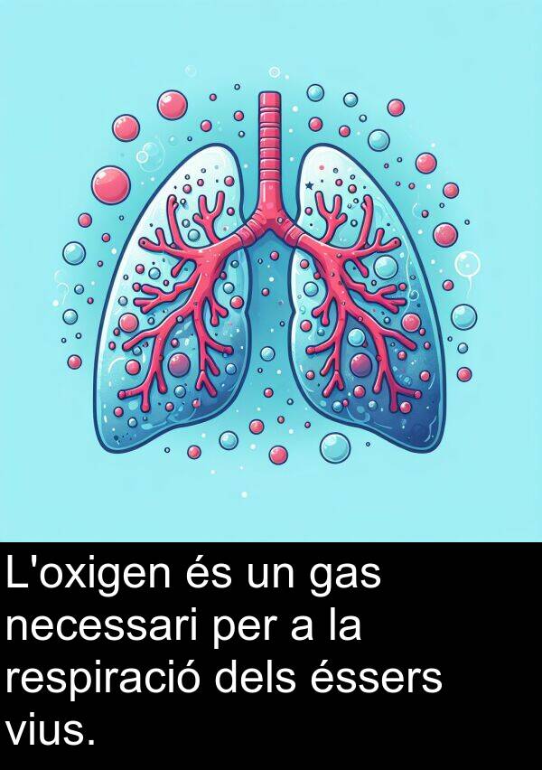 necessari: L'oxigen és un gas necessari per a la respiració dels éssers vius.