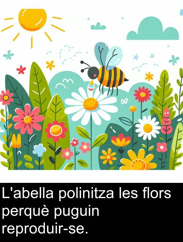 perquè: L'abella polinitza les flors perquè puguin reproduir-se.