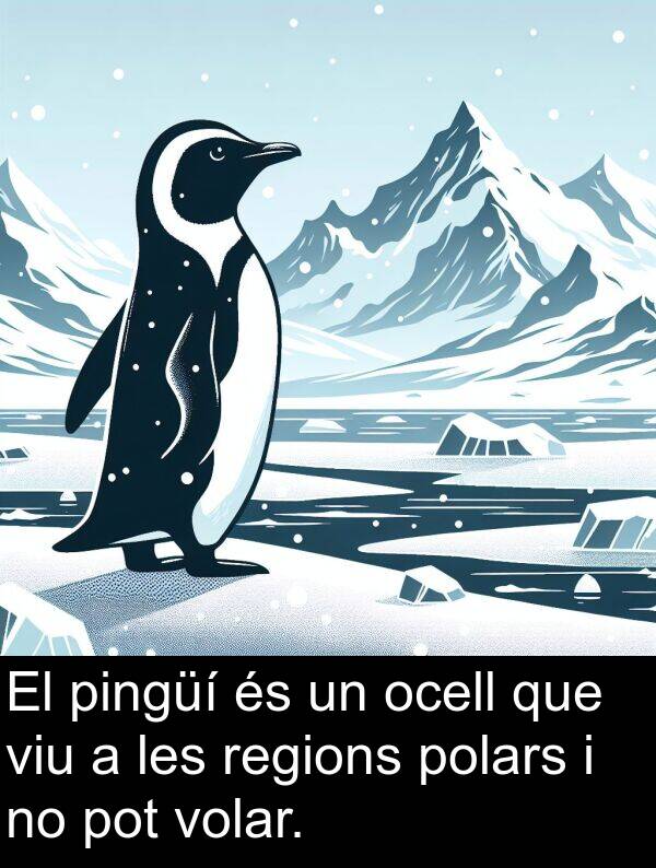 ocell: El pingüí és un ocell que viu a les regions polars i no pot volar.