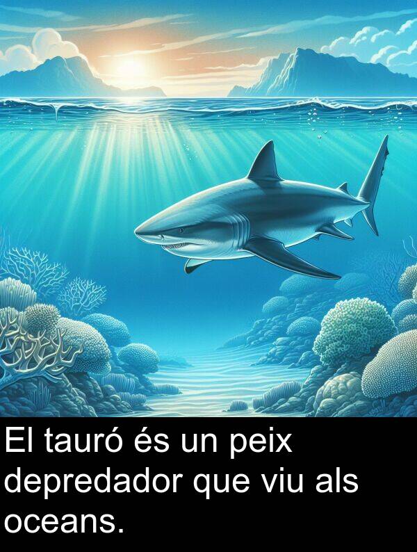 peix: El tauró és un peix depredador que viu als oceans.