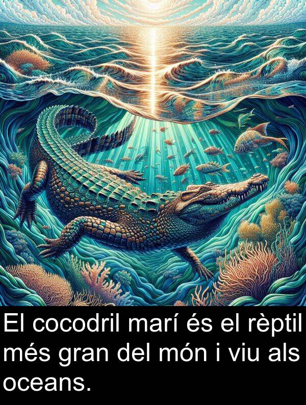 rèptil: El cocodril marí és el rèptil més gran del món i viu als oceans.