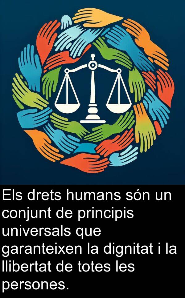 universals: Els drets humans són un conjunt de principis universals que garanteixen la dignitat i la llibertat de totes les persones.