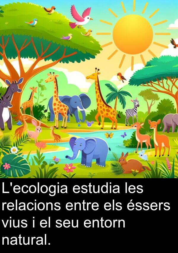 natural: L'ecologia estudia les relacions entre els éssers vius i el seu entorn natural.