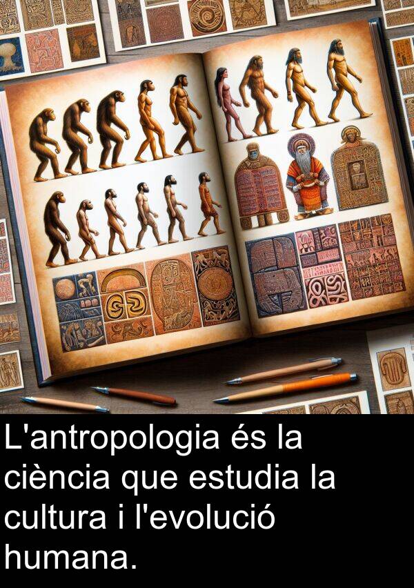 humana: L'antropologia és la ciència que estudia la cultura i l'evolució humana.