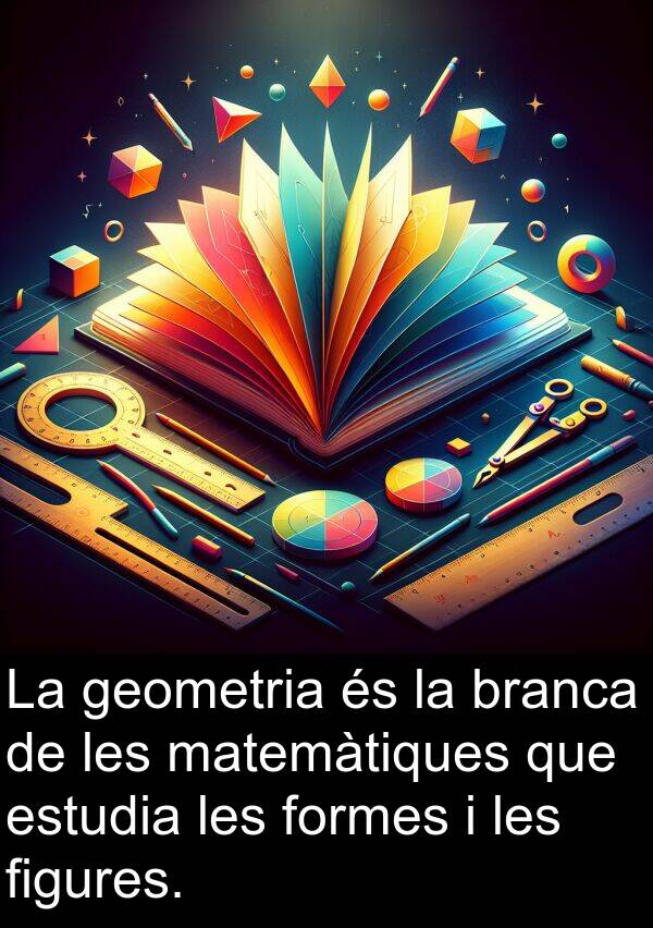 branca: La geometria és la branca de les matemàtiques que estudia les formes i les figures.