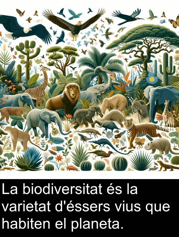 biodiversitat: La biodiversitat és la varietat d'éssers vius que habiten el planeta.