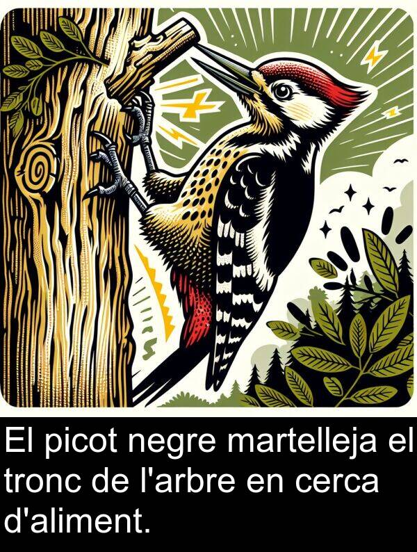 negre: El picot negre martelleja el tronc de l'arbre en cerca d'aliment.