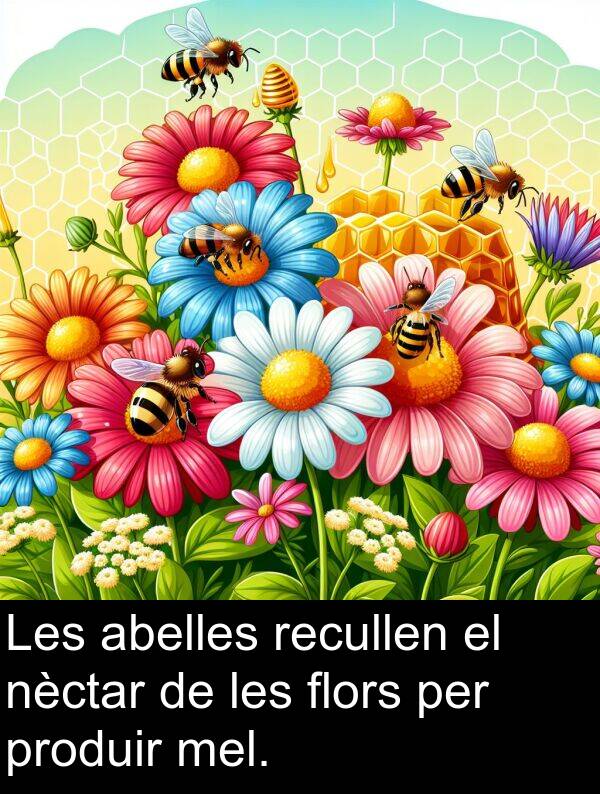 abelles: Les abelles recullen el nèctar de les flors per produir mel.