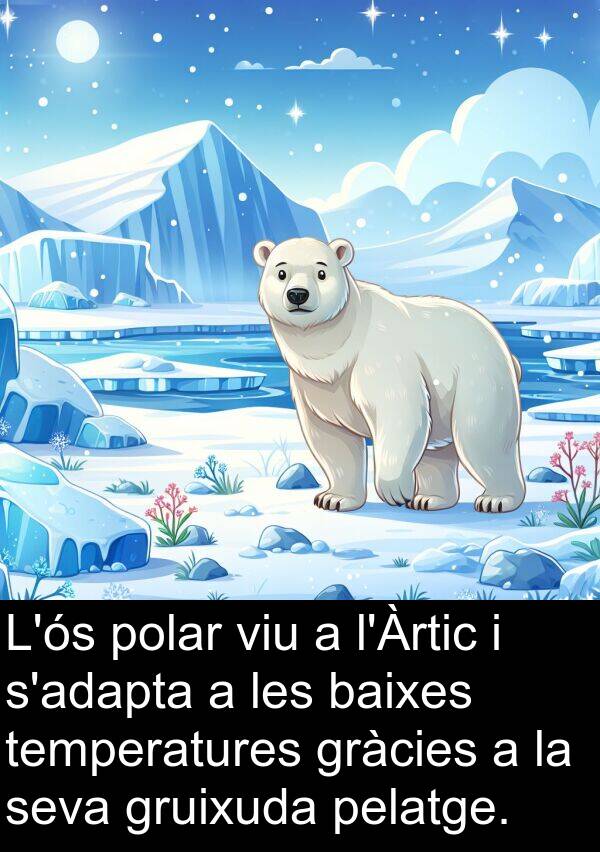 pelatge: L'ós polar viu a l'Àrtic i s'adapta a les baixes temperatures gràcies a la seva gruixuda pelatge.