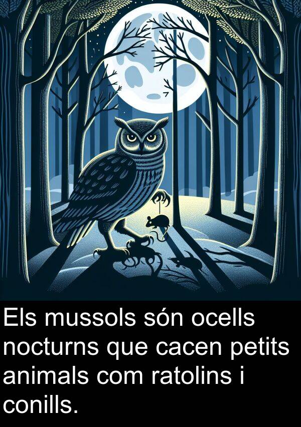 ocells: Els mussols són ocells nocturns que cacen petits animals com ratolins i conills.