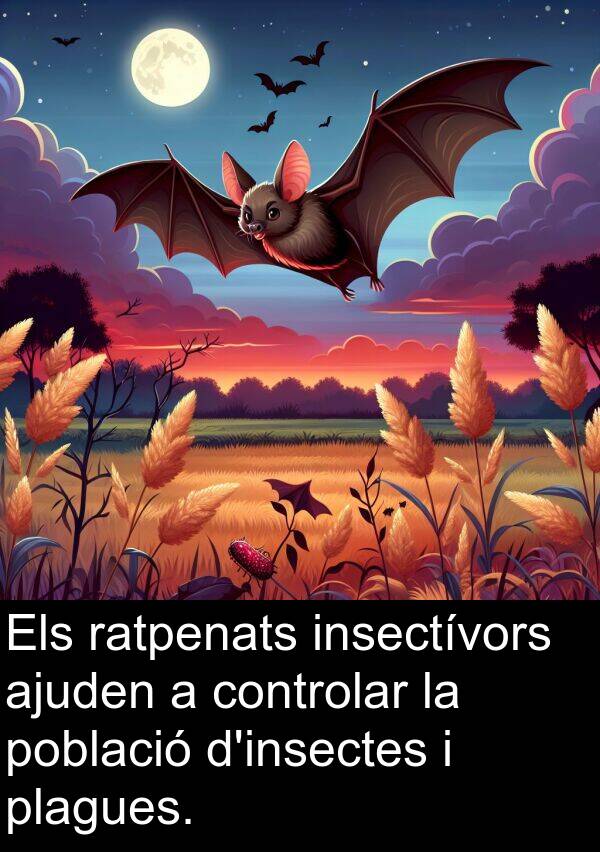 ajuden: Els ratpenats insectívors ajuden a controlar la població d'insectes i plagues.