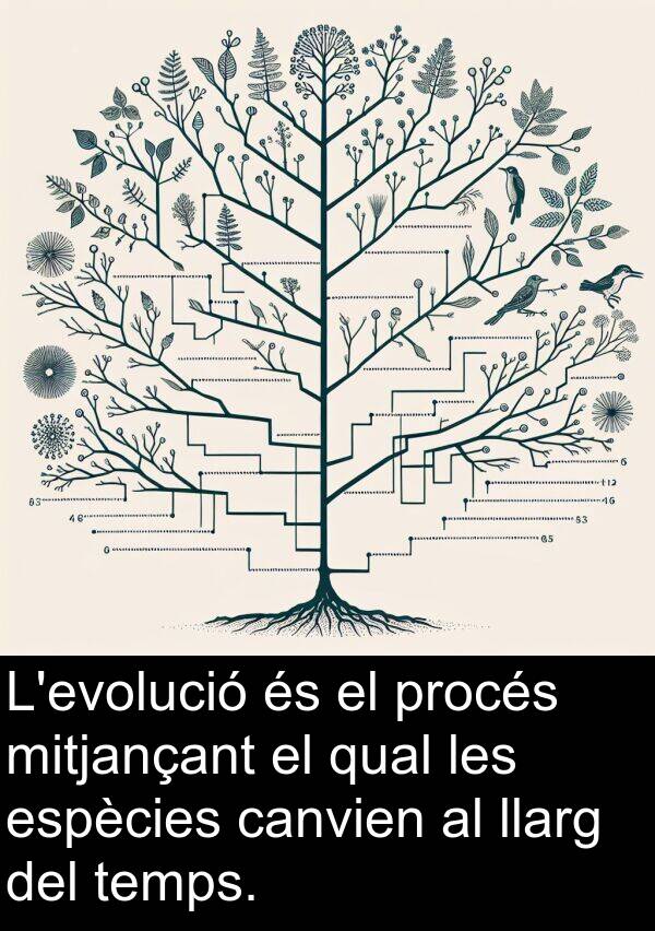 canvien: L'evolució és el procés mitjançant el qual les espècies canvien al llarg del temps.