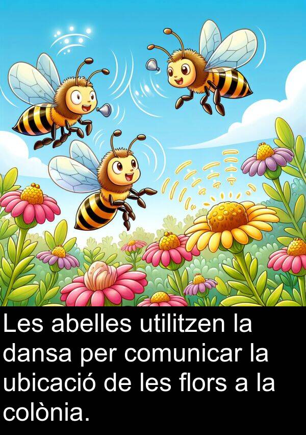 ubicació: Les abelles utilitzen la dansa per comunicar la ubicació de les flors a la colònia.