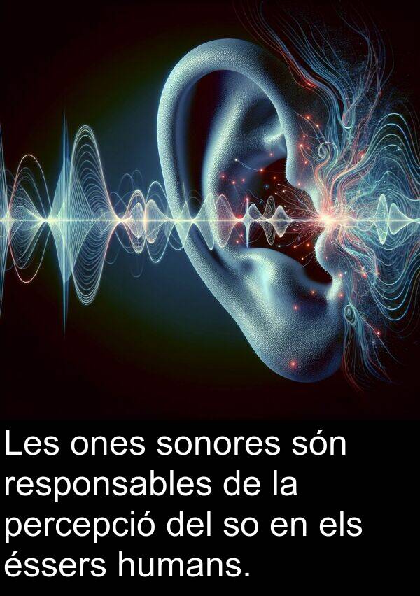 ones: Les ones sonores són responsables de la percepció del so en els éssers humans.