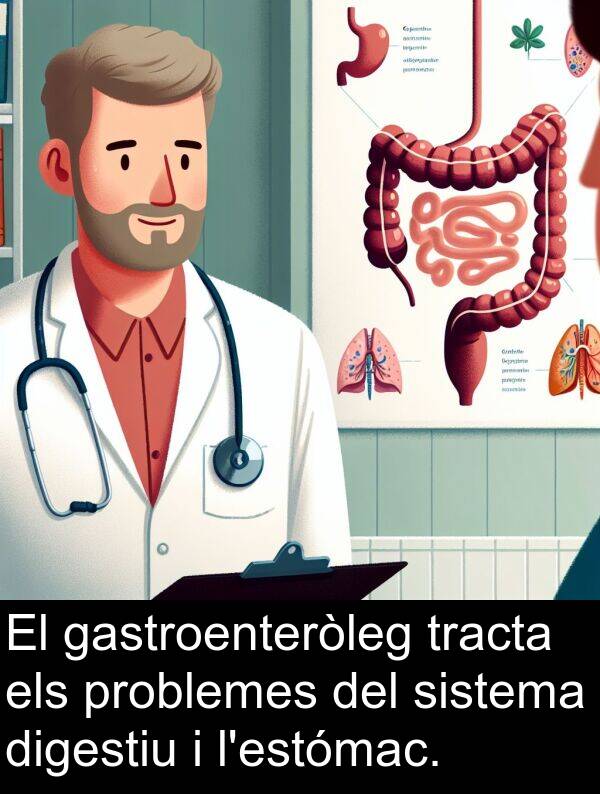 sistema: El gastroenteròleg tracta els problemes del sistema digestiu i l'estómac.