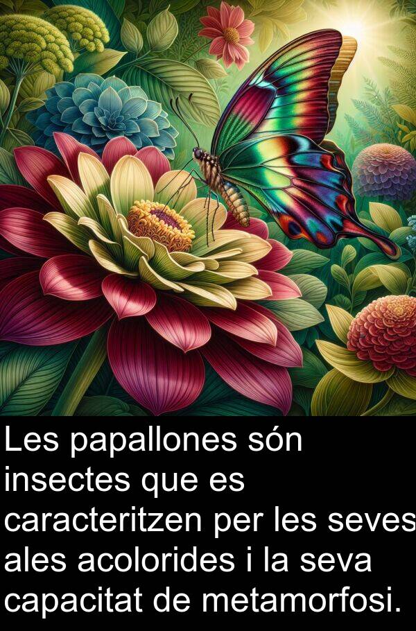 papallones: Les papallones són insectes que es caracteritzen per les seves ales acolorides i la seva capacitat de metamorfosi.