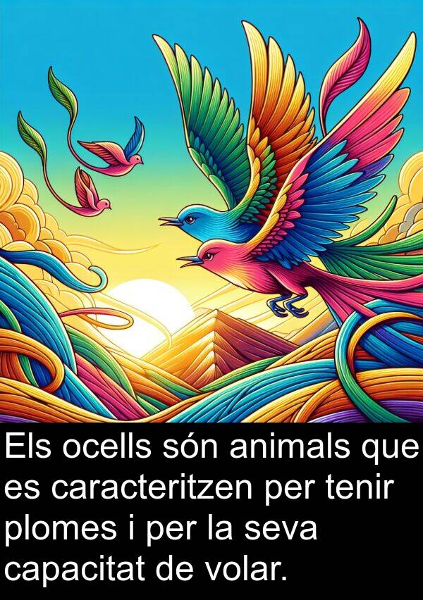 ocells: Els ocells són animals que es caracteritzen per tenir plomes i per la seva capacitat de volar.